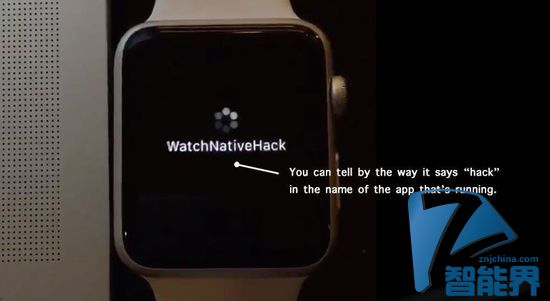 Apple Watch SDK被黑？